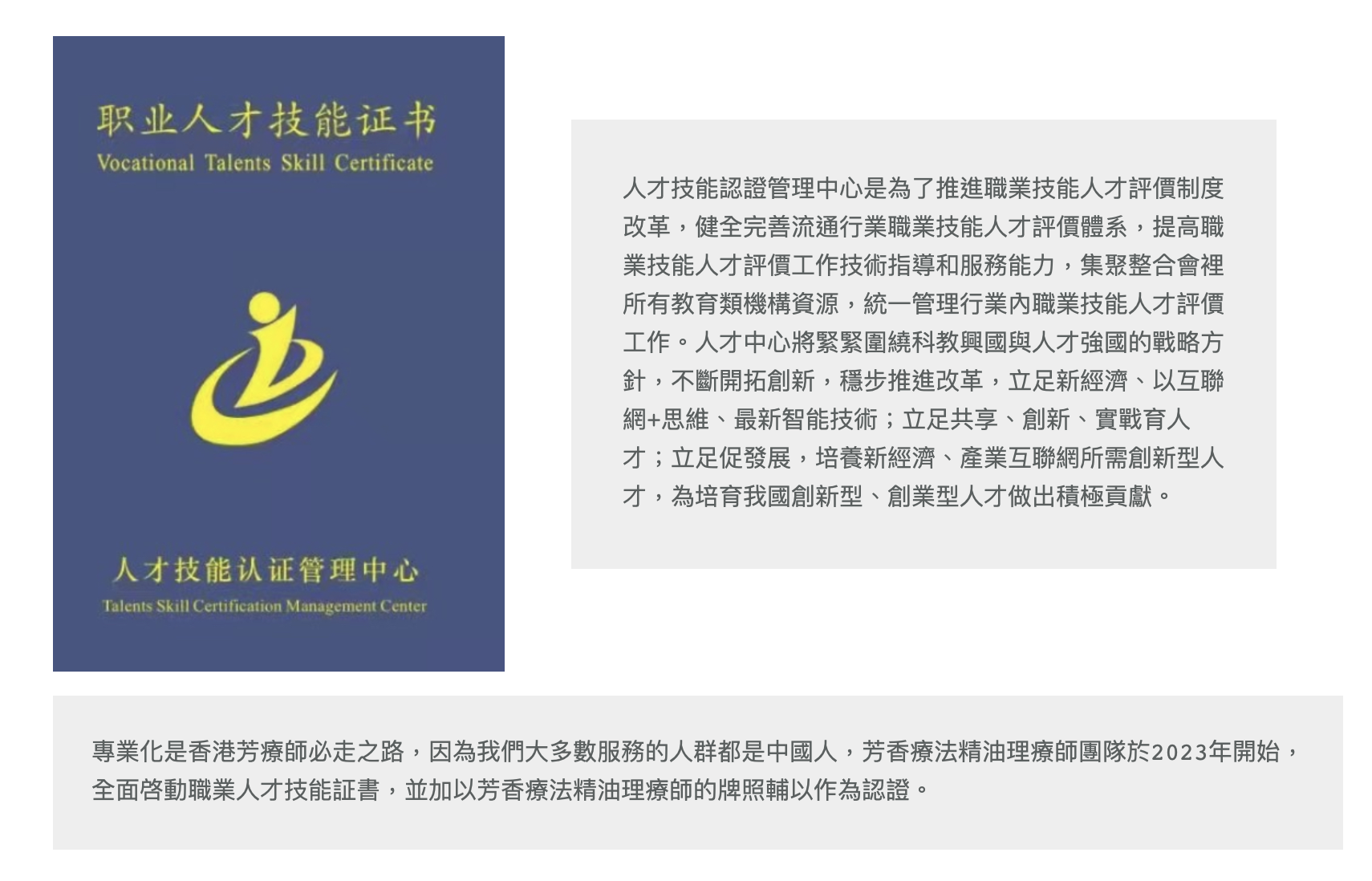 人才技能