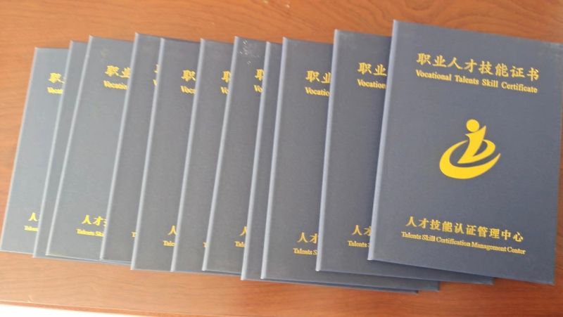 人才技能