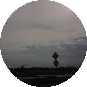 BioLink profile picture for @ann