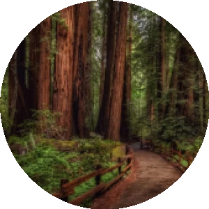 BioLink profile picture for @imagine