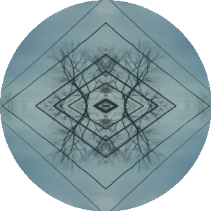 BioLink profile picture for @woodlands