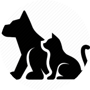 BioLink profile picture for @pets