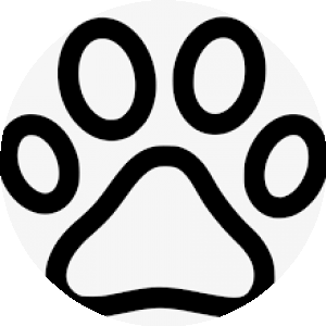 BioLink profile picture for @pet