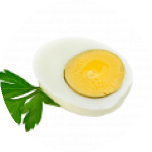 BioLink profile picture for @egg