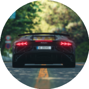 BioLink profile picture for @lamborghini