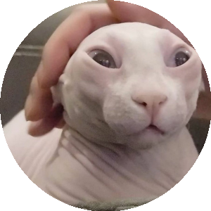 BioLink profile picture for @toaster