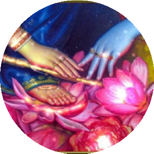 BioLink profile picture for @komal