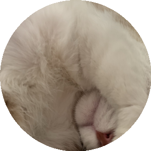 BioLink profile picture for @bacon