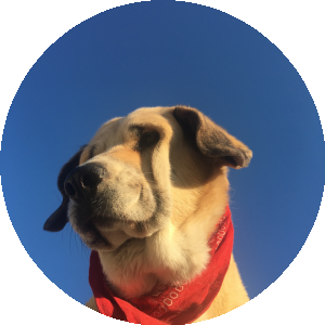 BioLink profile picture for @fabian