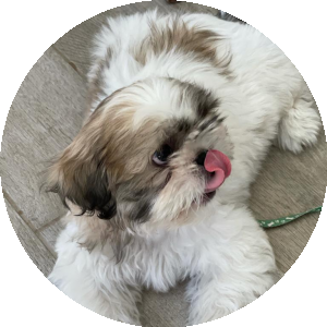 BioLink profile picture for @omri