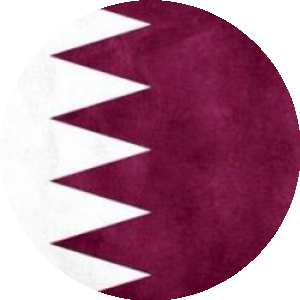 BioLink profile picture for @qatar