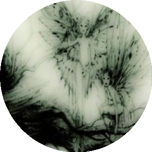 BioLink profile picture for @goth