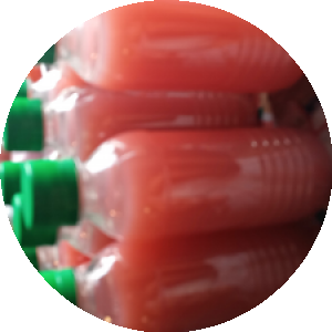 BioLink profile picture for @manisha