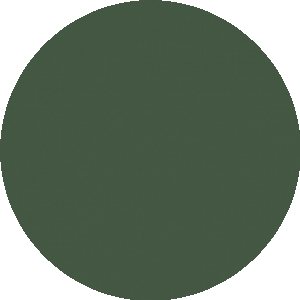 BioLink profile picture for @fabrizio