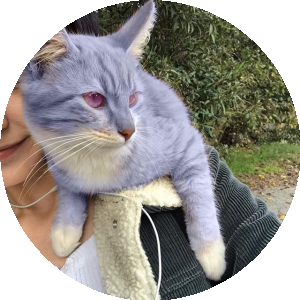 BioLink profile picture for @lana