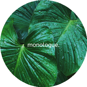 BioLink profile picture for @monologue