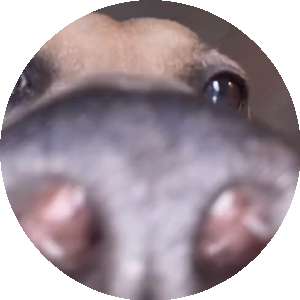 BioLink profile picture for @fatty