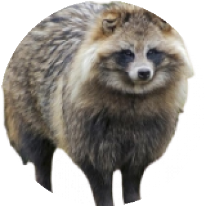 BioLink profile picture for @gilbert