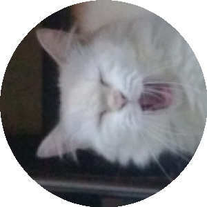 BioLink profile picture for @intan