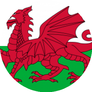 BioLink profile picture for @wales