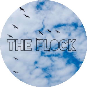 BioLink profile picture for @flock