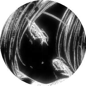 BioLink profile picture for @rgb