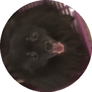 BioLink profile picture for @butter