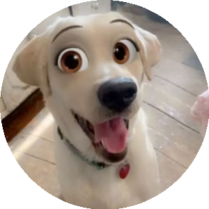 BioLink profile picture for @set