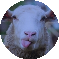 BioLink profile picture for @bubble