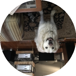 BioLink profile picture for @curtis