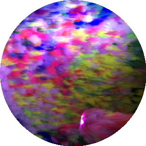 BioLink profile picture for @lisbeth