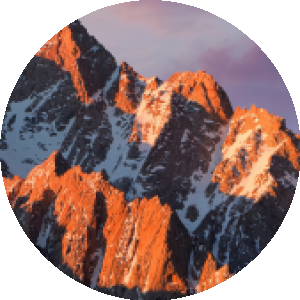 BioLink profile picture for @ilkin