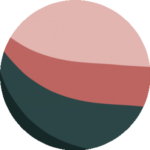 BioLink profile picture for @rudraksh