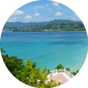BioLink profile picture for @island