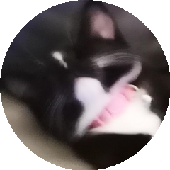 BioLink profile picture for @memegod