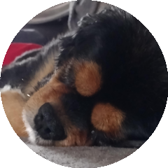 BioLink profile picture for @rest