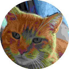 BioLink profile picture for @rhino