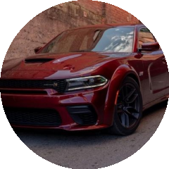BioLink profile picture for @sco