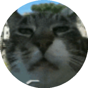 BioLink profile picture for @jewish