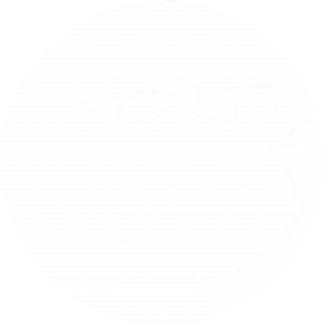 BioLink profile picture for @based