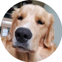 BioLink profile picture for @richardd