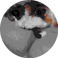 BioLink profile picture for @wolfy