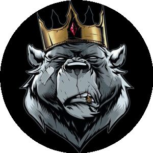 BioLink profile picture for @nok