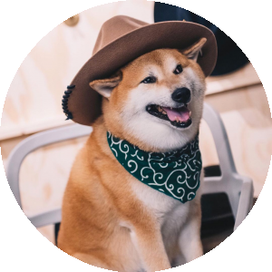 BioLink profile picture for @khaki