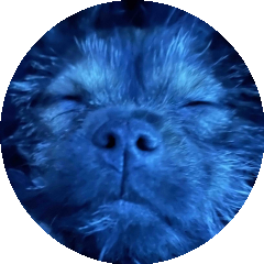 BioLink profile picture for @straight