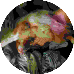 BioLink profile picture for @charlies