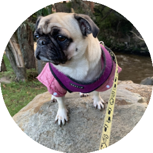 BioLink profile picture for @martha
