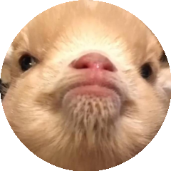 BioLink profile picture for @lillian