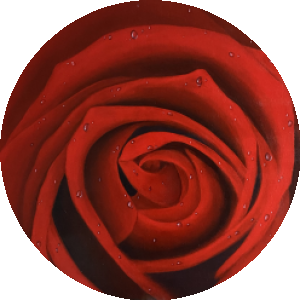 BioLink profile picture for @febin