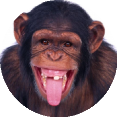 BioLink profile picture for @tutorial